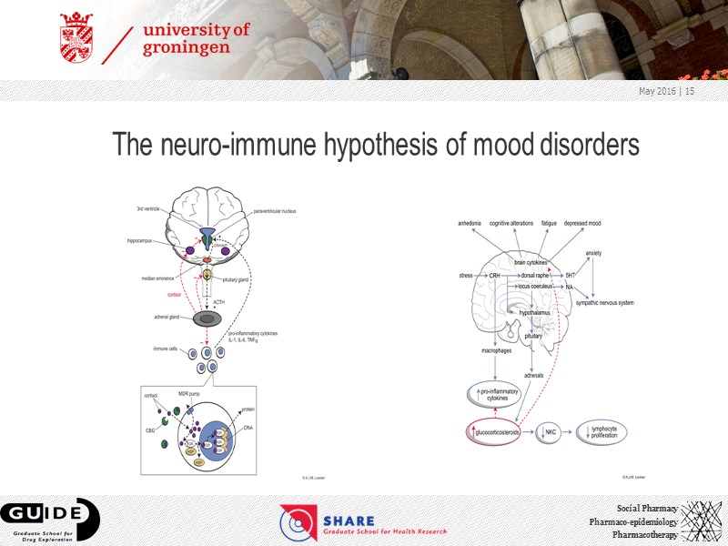 The neuro-immune hypothesis of mood disorders May 2016  | 15
